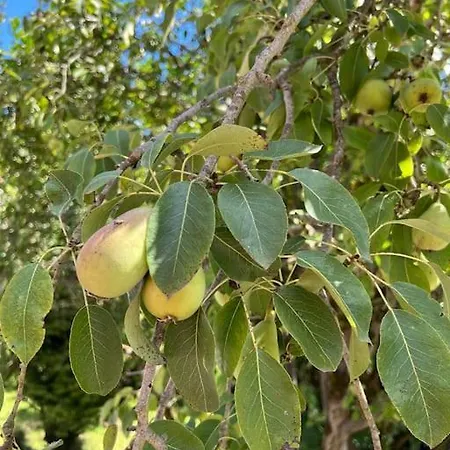 La Casona De La Carbayeda Oviedo