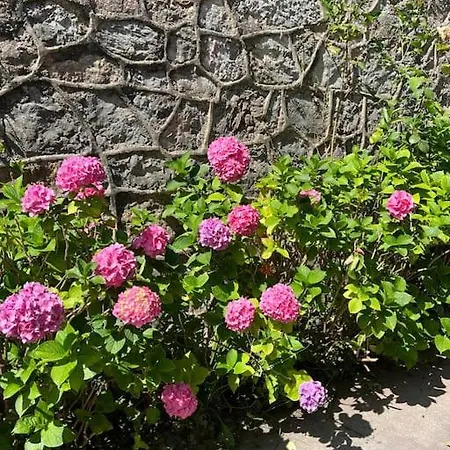 Villa La Casona De La Carbayeda