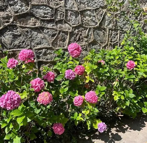 Villa La Casona De La Carbayeda